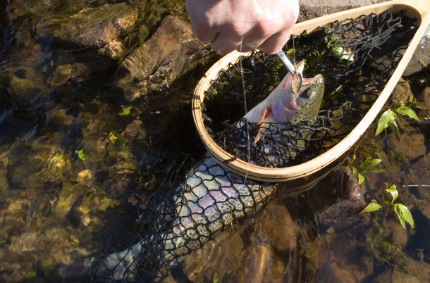 Trout Angler Summit in May